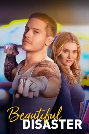 Beautiful Disaster 2023 Hindi Dual Audio – - Movierulz