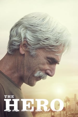 The Hero (2017) Hindi Movie [840MB] - Movierulz